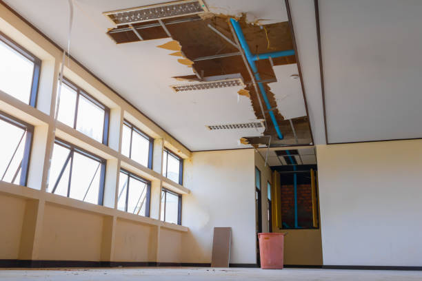 Best Water damage contractors near me  in Doylestown, OH