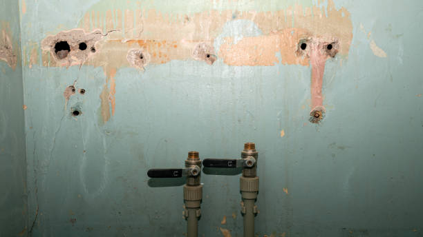 Best Ceiling water damage repair  in Doylestown, OH